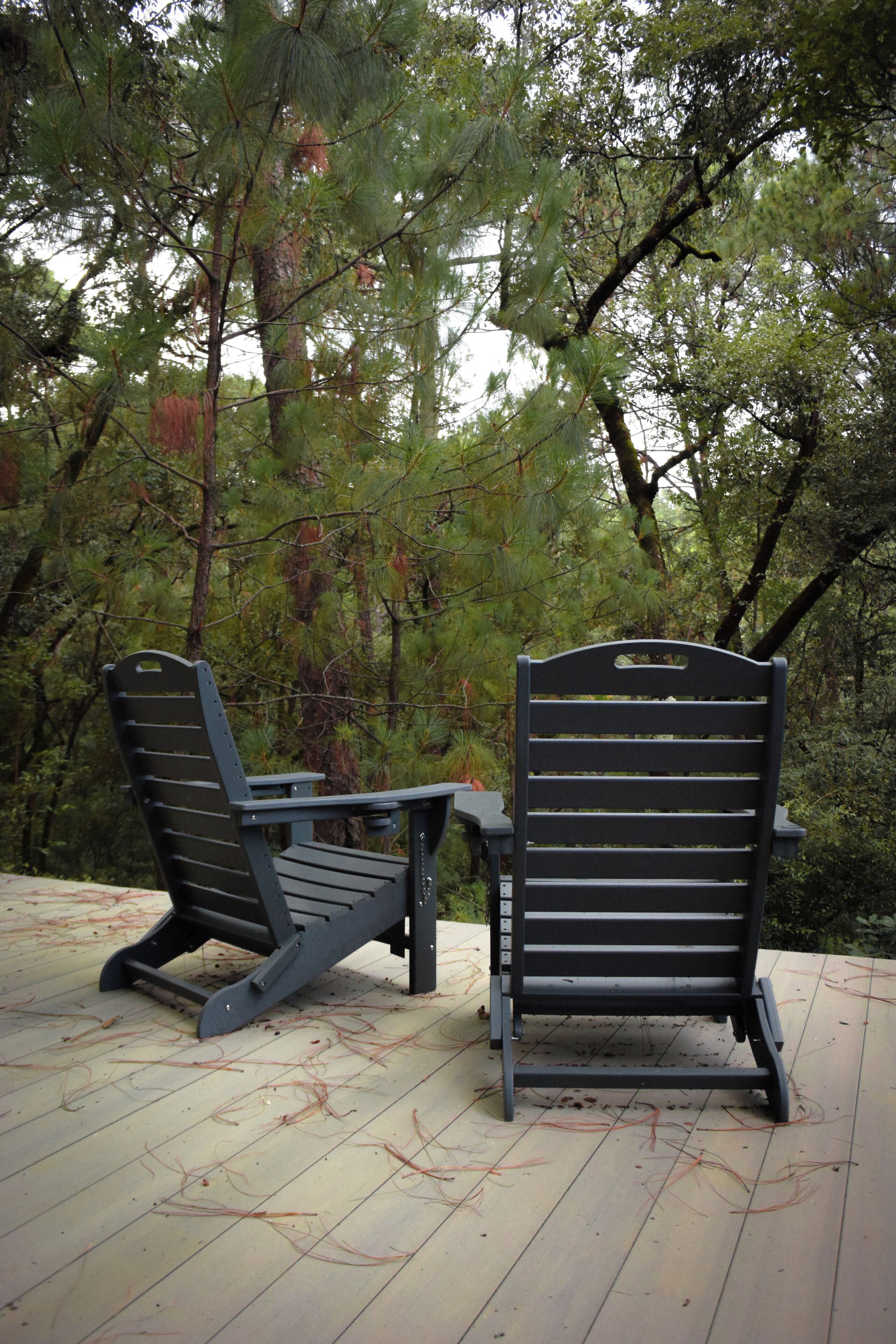 Pemandangan dari kamar