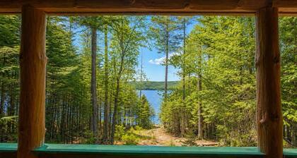 Pet Friendly Cabin with Direct access to Wilson Pond