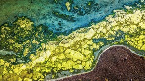 A close-up of a textured surface with various colors and patterns. - Le Nid des Carmes heart of Nantes wifi (Nantes)