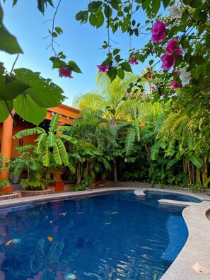 En swimmingpool omgivet af frodig vegetation og en bygning med en orange facade.