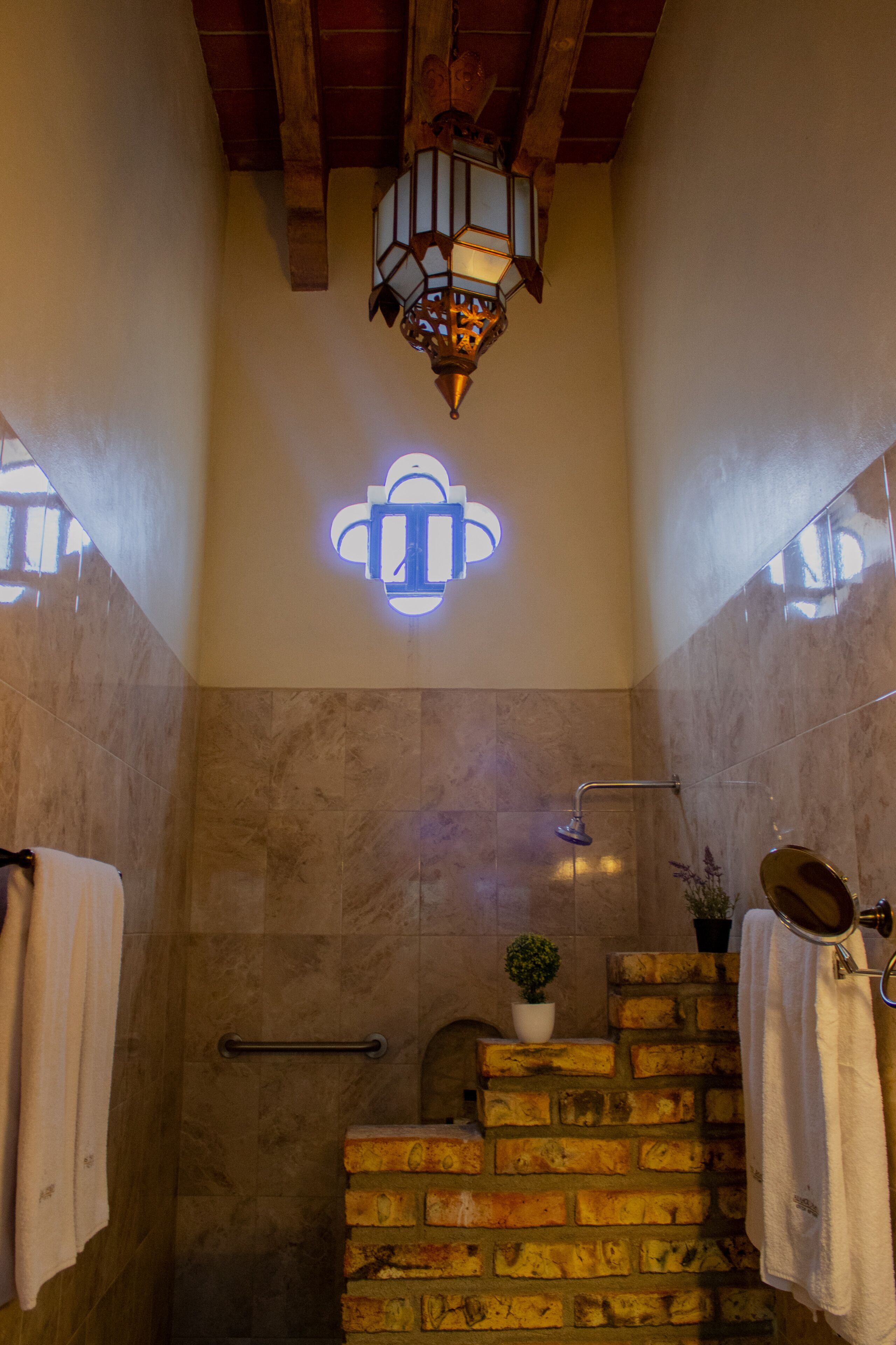 A bathroom with a shower, a towel rack, a potted plant, and a wall-mounted light fixture.
