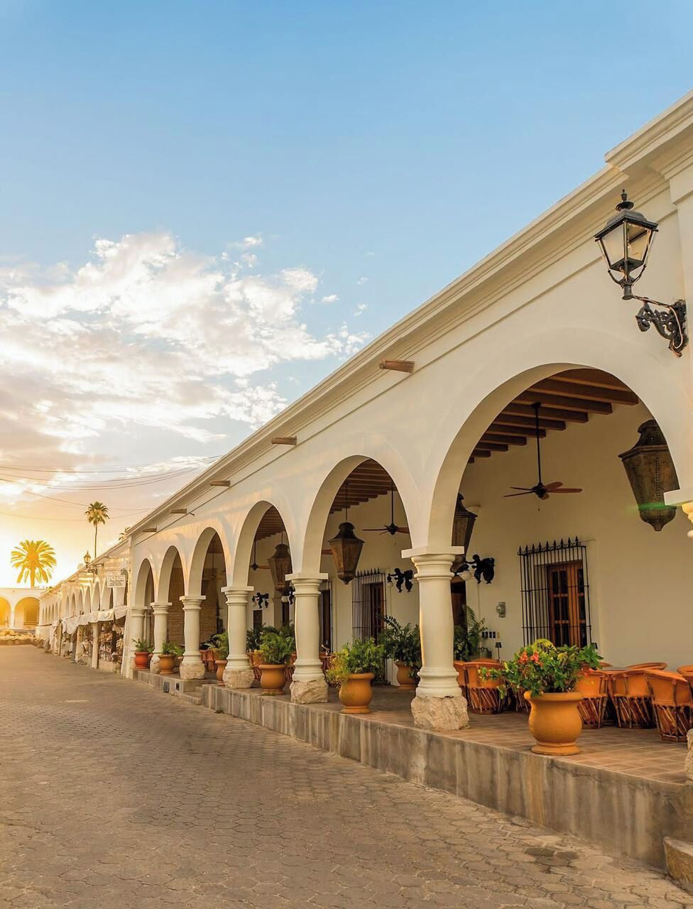 Un edificio con una serie de arcos y columnas, mobiliario exterior con mesas y sillas, y plantas en macetas.
