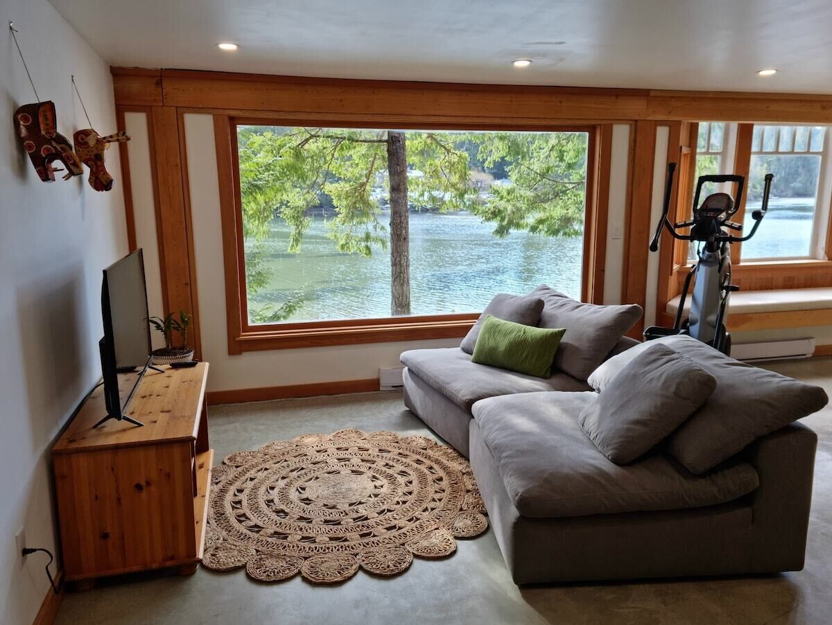 TV, fireplace, books