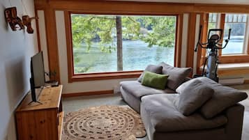 TV, fireplace, books