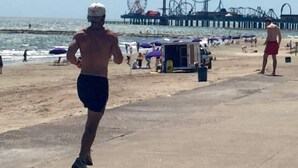 A beach with a pier, a Ferris wheel, and people walking. - Salty Shark Q1 | Deck Patio (Galveston)