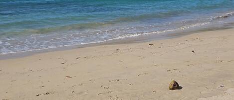 Plage à proximité