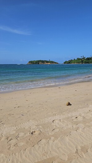 Plage à proximité
