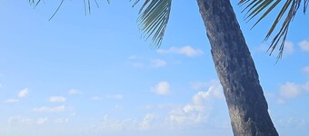 Casa Bali Tropical Escape