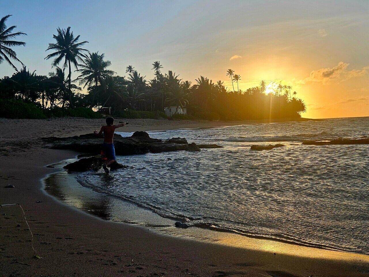 Escena de playa con una persona de pie en aguas poco profundas, palmeras al fondo y el sol poniéndose en el horizonte.