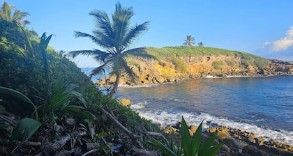 Casa Bali Tropical Escape