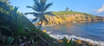 Casa Bali Tropical Escape