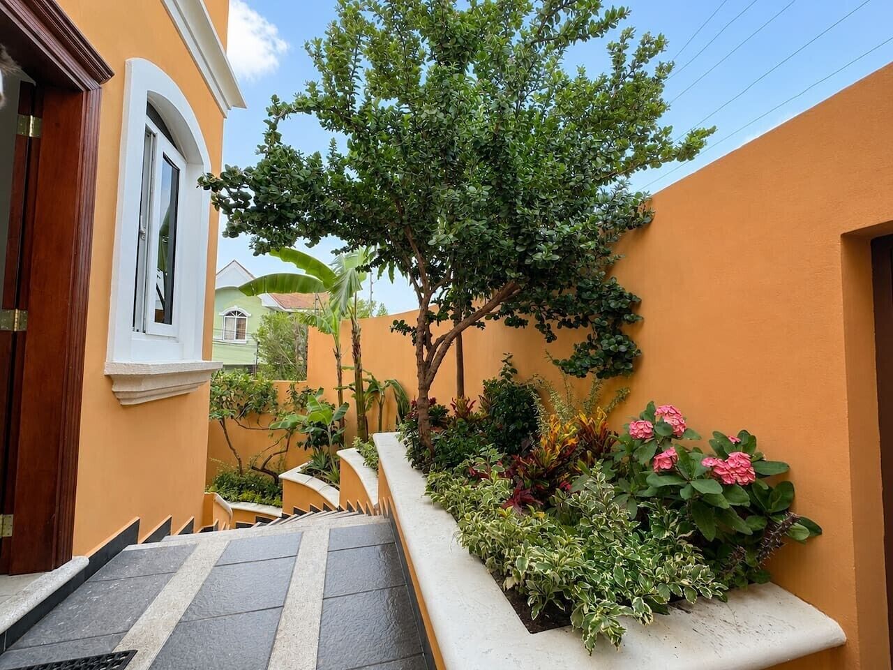 A narrow outdoor corridor with a staircase leading to a door, surrounded by various plants and a tree.