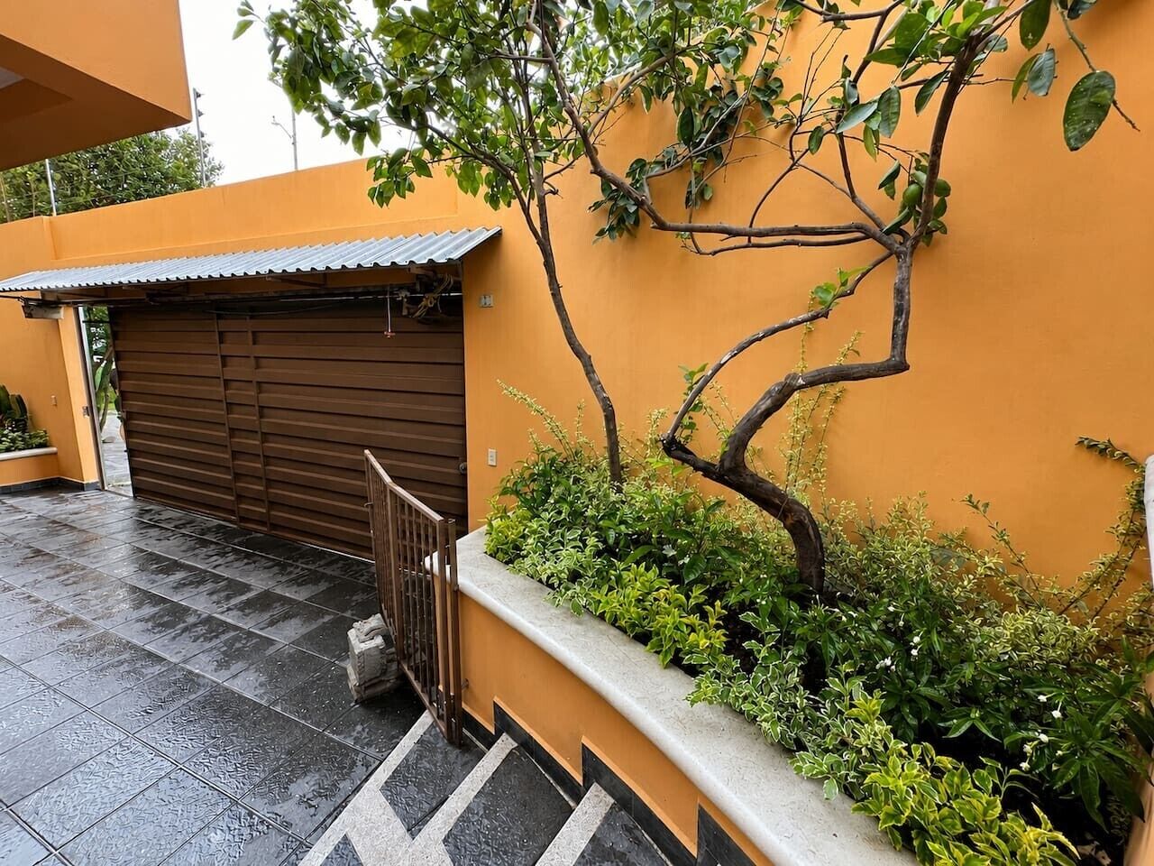 A gated entrance with a metal gate, a tree with green foliage, and a tiled floor.