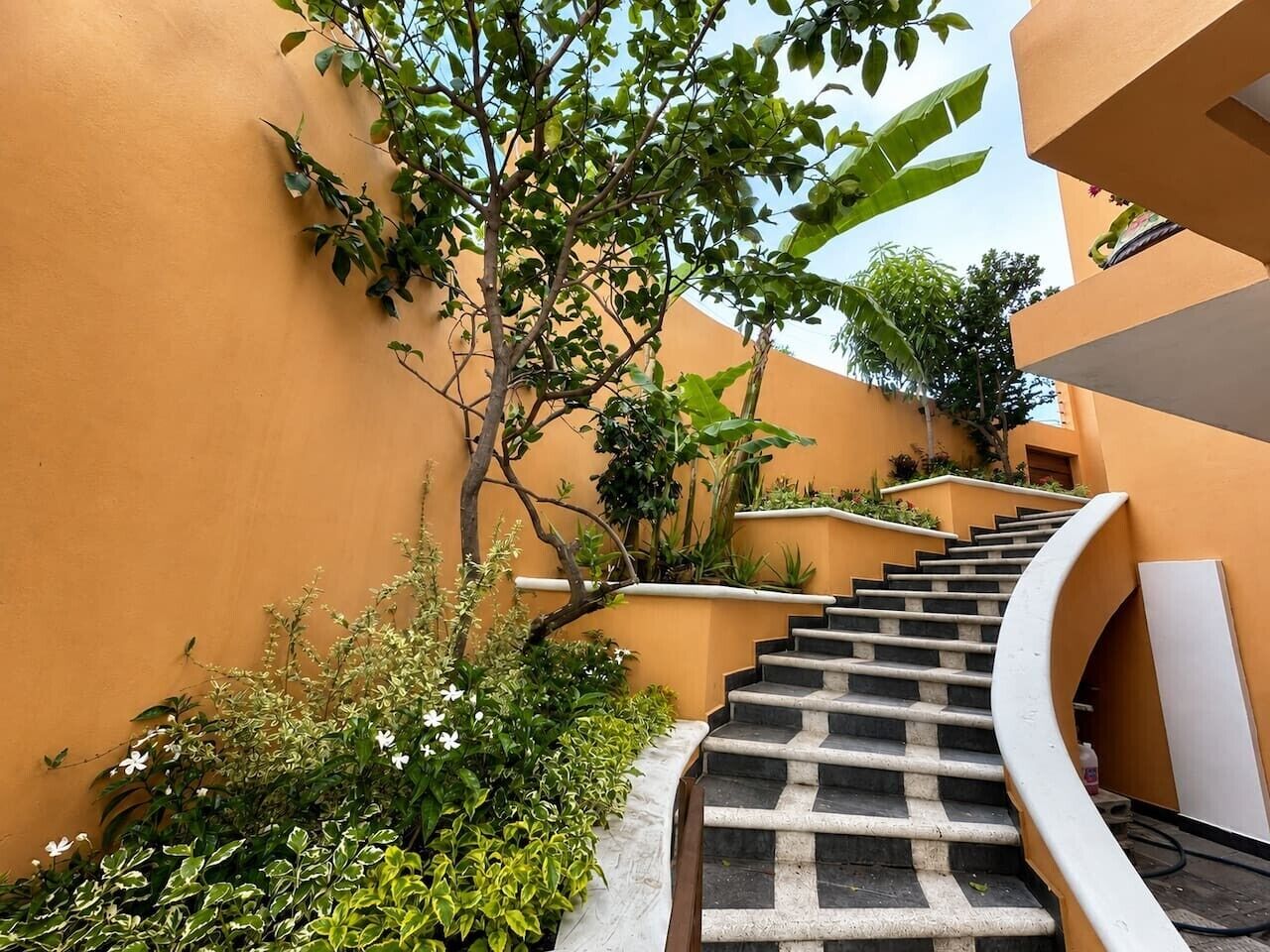 Una escalera curva con barandilla, rodeada de follaje y una pared amarilla.
