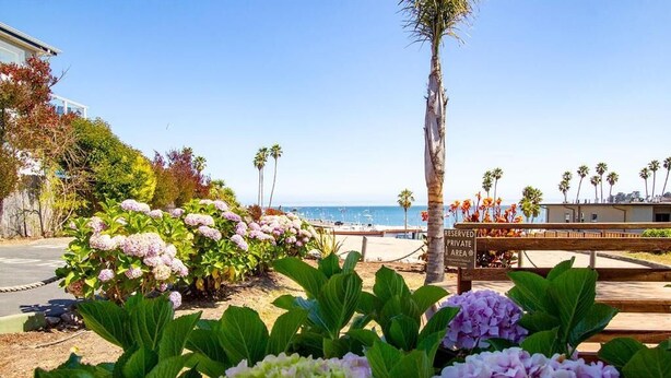 Un jardín con flores de hortensia, un banco de madera y vista al océano.