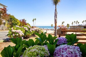 Un jardín con flores de hortensia, un banco de madera y vista al océano.