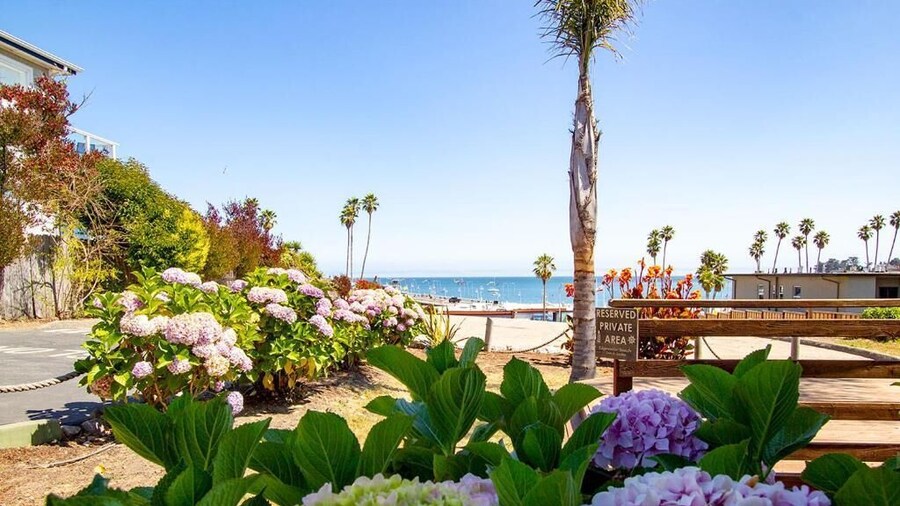 Edgewater Beach Inn