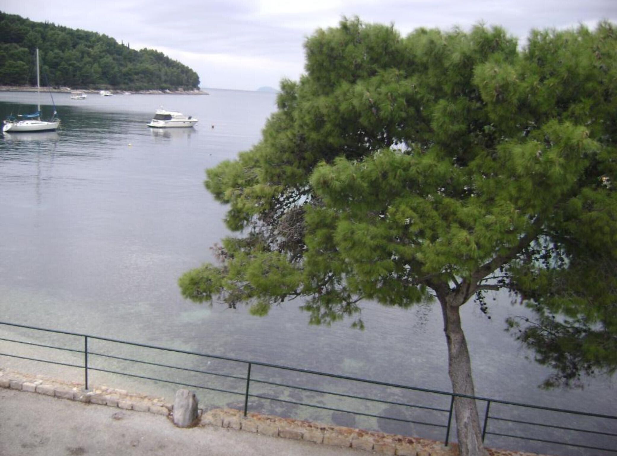 A calm body of water with boats, a tree, and a distant shoreline.