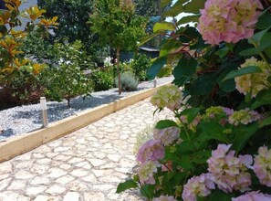 A stone pathway in a garden with various plants and trees. - One Bedroom Apartment with Terrace (Rovinj)
