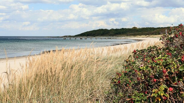 A coastal landscape with a sandy beach, a pier extending into the water, and a hill with dense greenery in the background. - 5 Person Holiday Home in Bastad (Bastad)