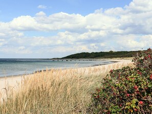 Een kustlandschap met een zandstrand, een pier die het water in reikt, en een heuvel met weelderige begroeiing op de achtergrond.