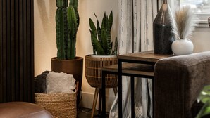 Una sala de estar acogedora con un cactus grande, una lámpara, una cesta de mimbre y un sillón mullido.