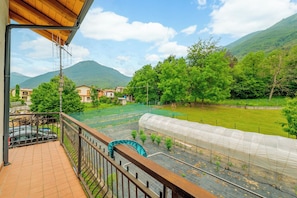 Un balcon offrant une vue sur une serre, une montagne et un quartier résidentiel.