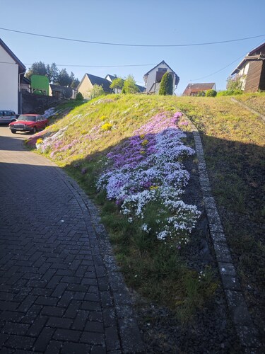Ferienwohnung an der Nordschleife