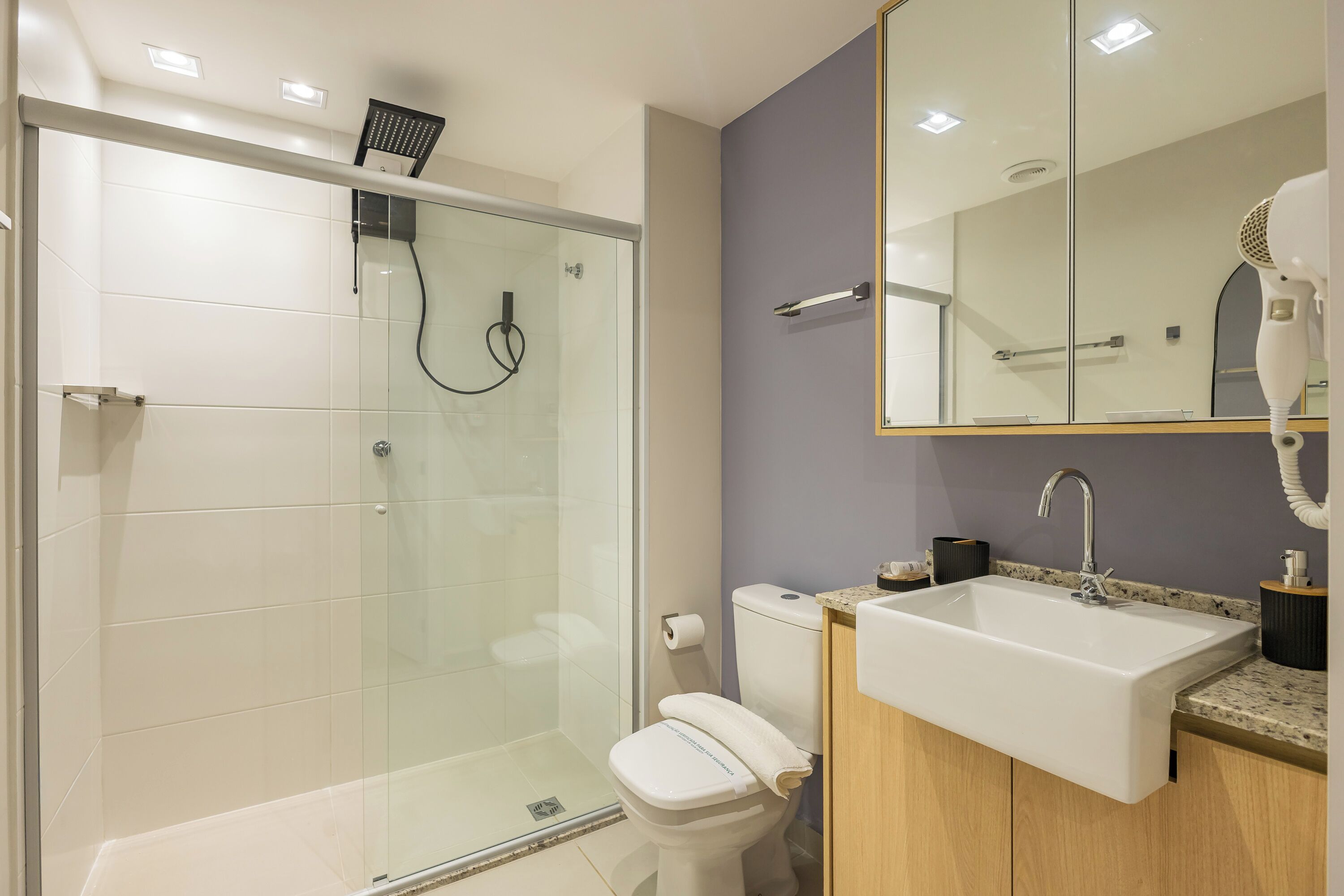 A bathroom with a glass-enclosed shower, a toilet, a sink, and a mirror above the sink.