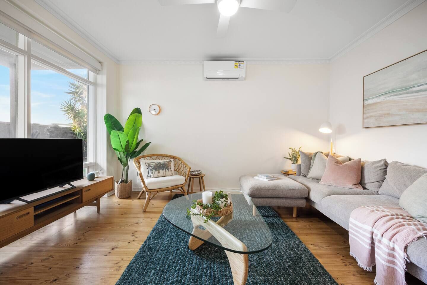 A living room with a TV, a sofa, a chair, a coffee table, and a large plant.