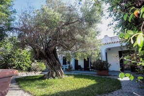Une cour avec un grand arbre, un chemin de pierre et un bâtiment à la façade blanche et aux volets sombres.