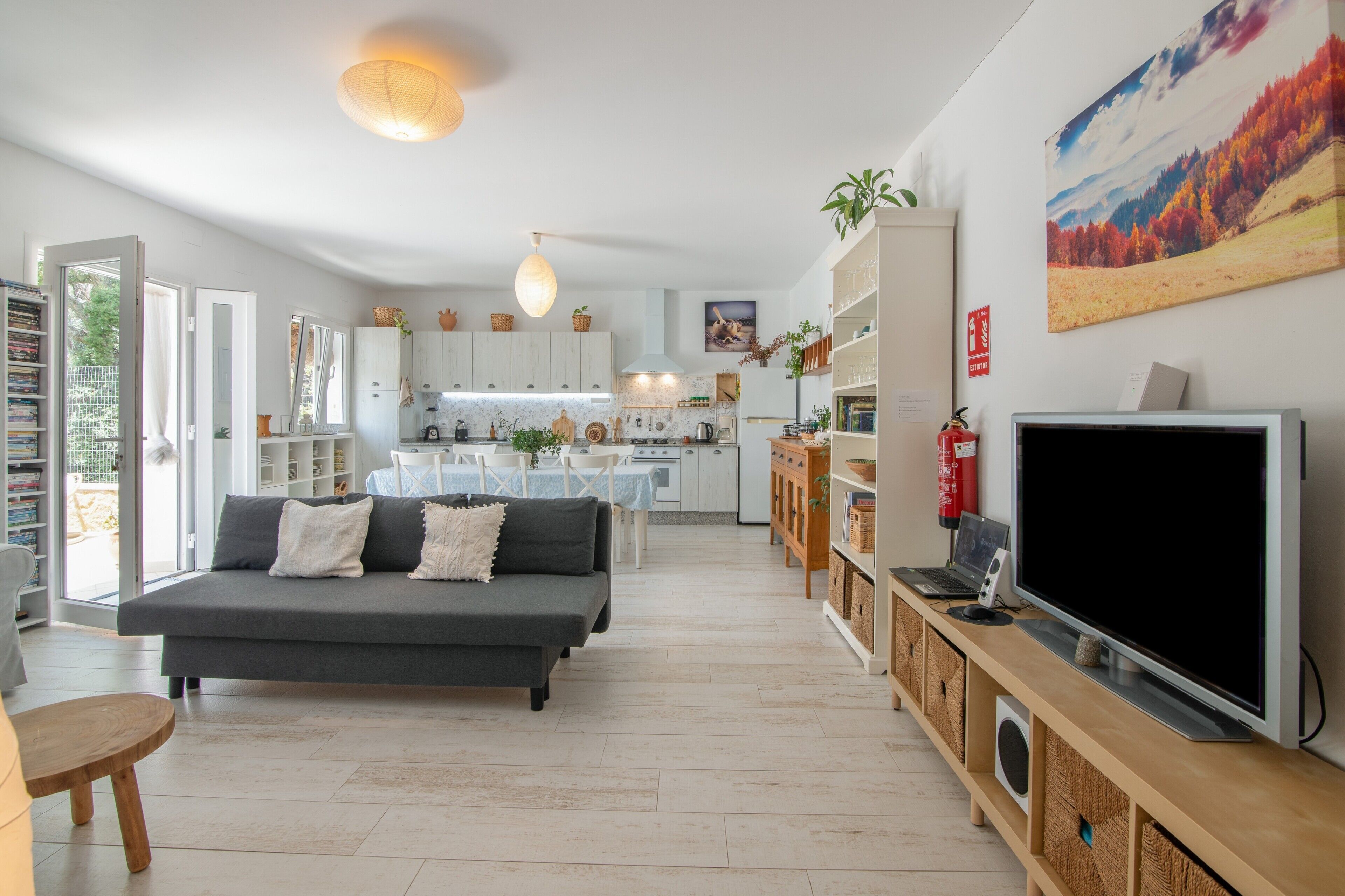 Fernseher, Kamin, DVD-Player