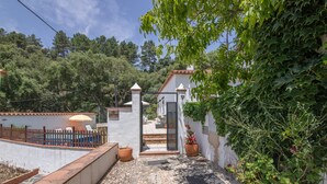 A paved pathway leading to a gated entrance with potted plants and a white wall. - La Soberana: The House That Cares for You (Arroyo)