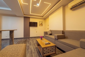 A modern living room with a sofa, a coffee table, a TV, and a ceiling light fixture.