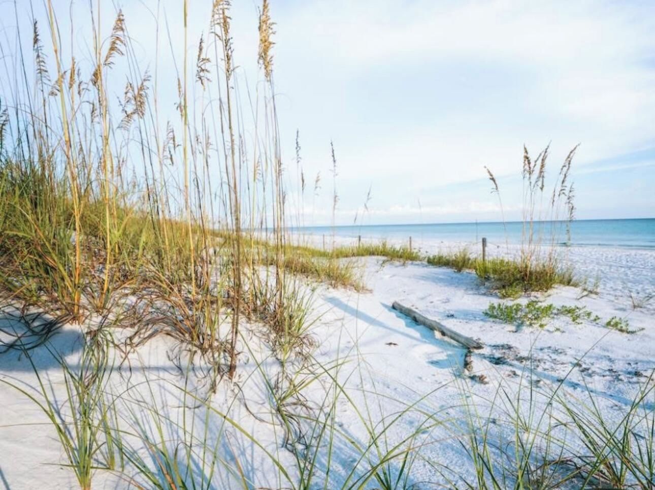 A beach with sand, grass, and a wooden path.