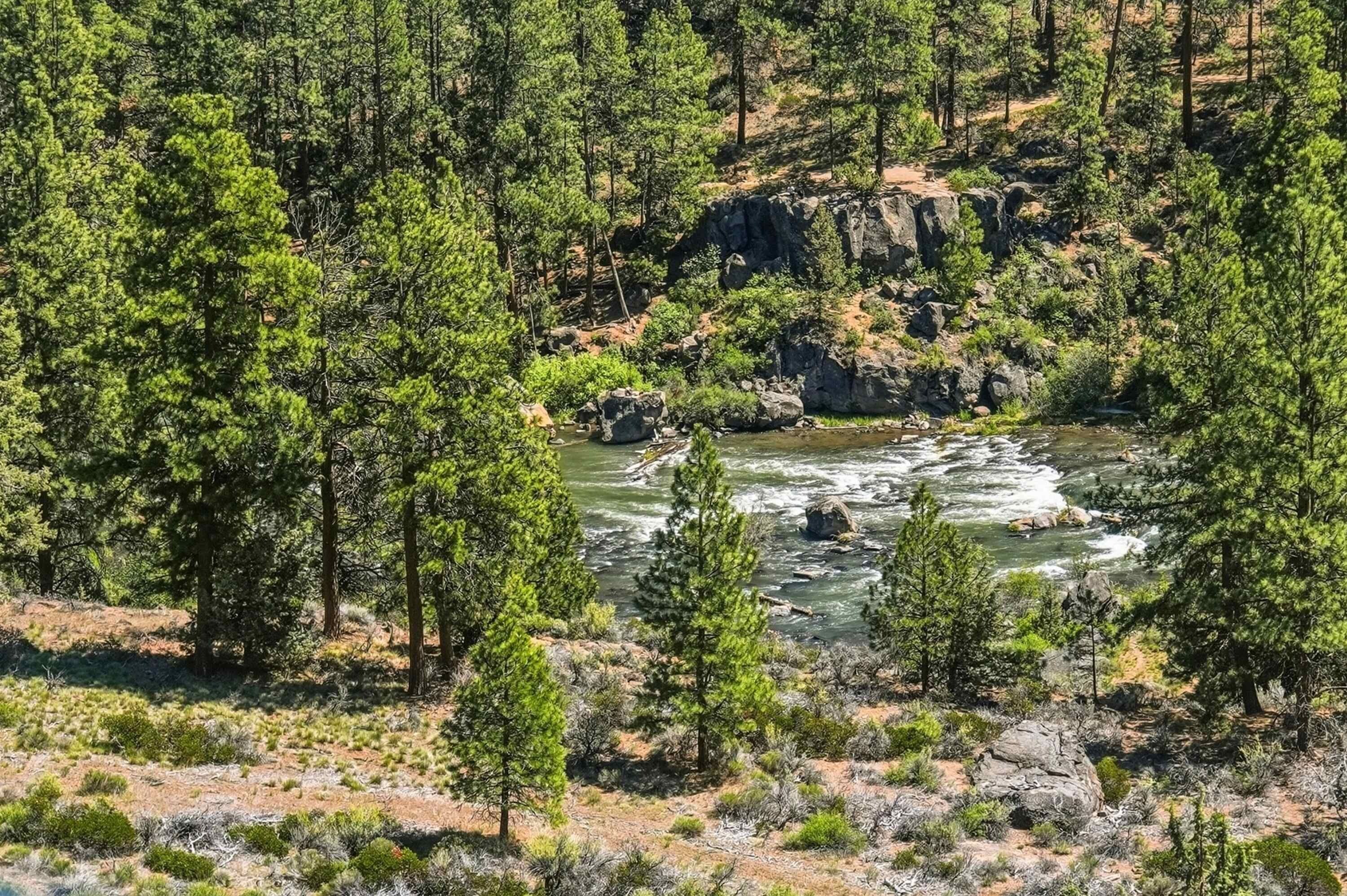A river flowing through a forested area with rocky terrain and sparse vegetation.