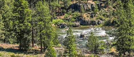 A river flowing through a forested area with rocky terrain and sparse vegetation.
