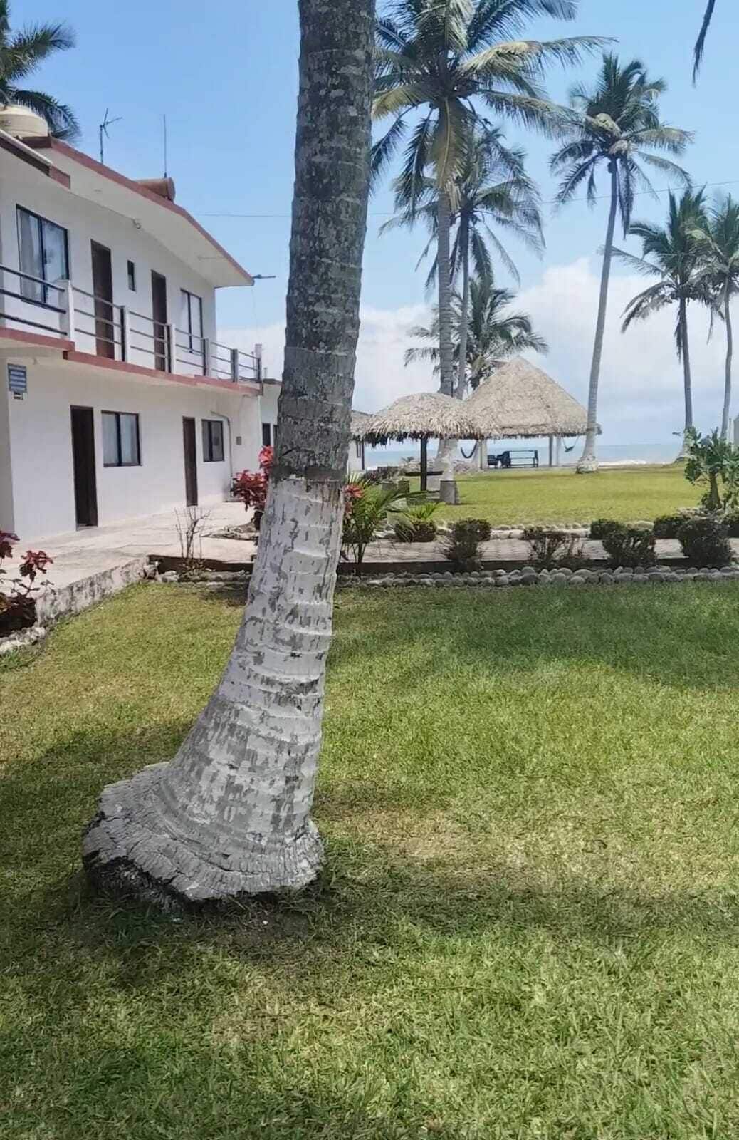 A building with a white exterior and a thatched-roof structure, surrounded by a well-maintained lawn and palm trees.