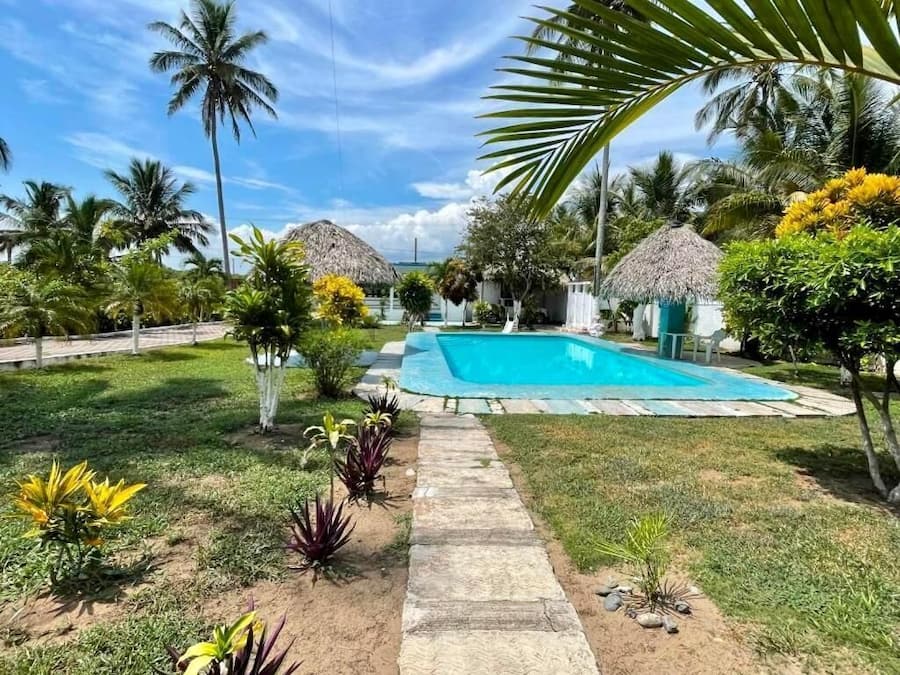 A swimming pool surrounded by tropical plants and palm trees.