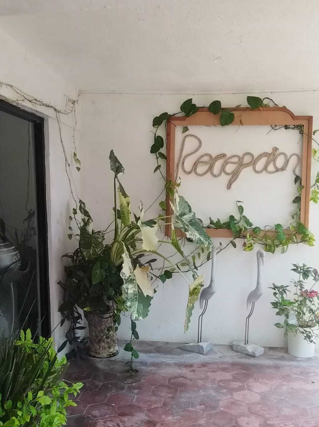 Een wand met een houten lijst en het woord 'Reception' in sierlijke letters.