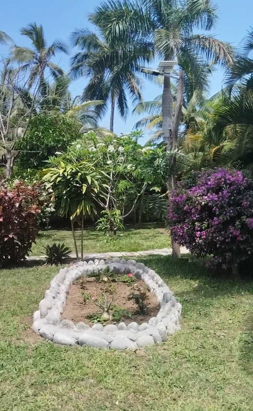 Un jardin avec une bordure circulaire en pierre, des palmiers et des arbustes en fleurs.