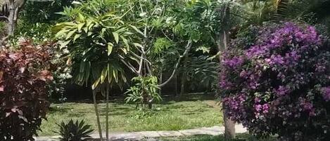 Un jardin avec une bordure circulaire en pierre, des palmiers et des arbustes en fleurs.