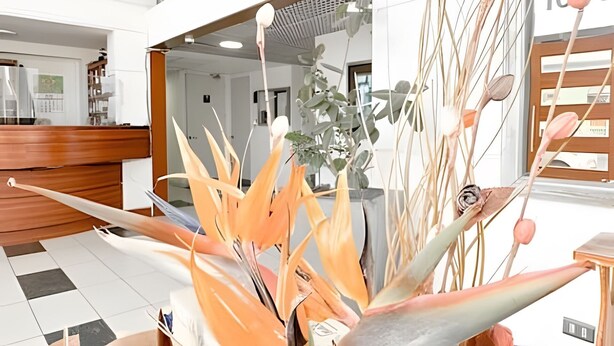 Un moderno vestíbulo de hotel con una recepción, una planta grande y vistas al interior.