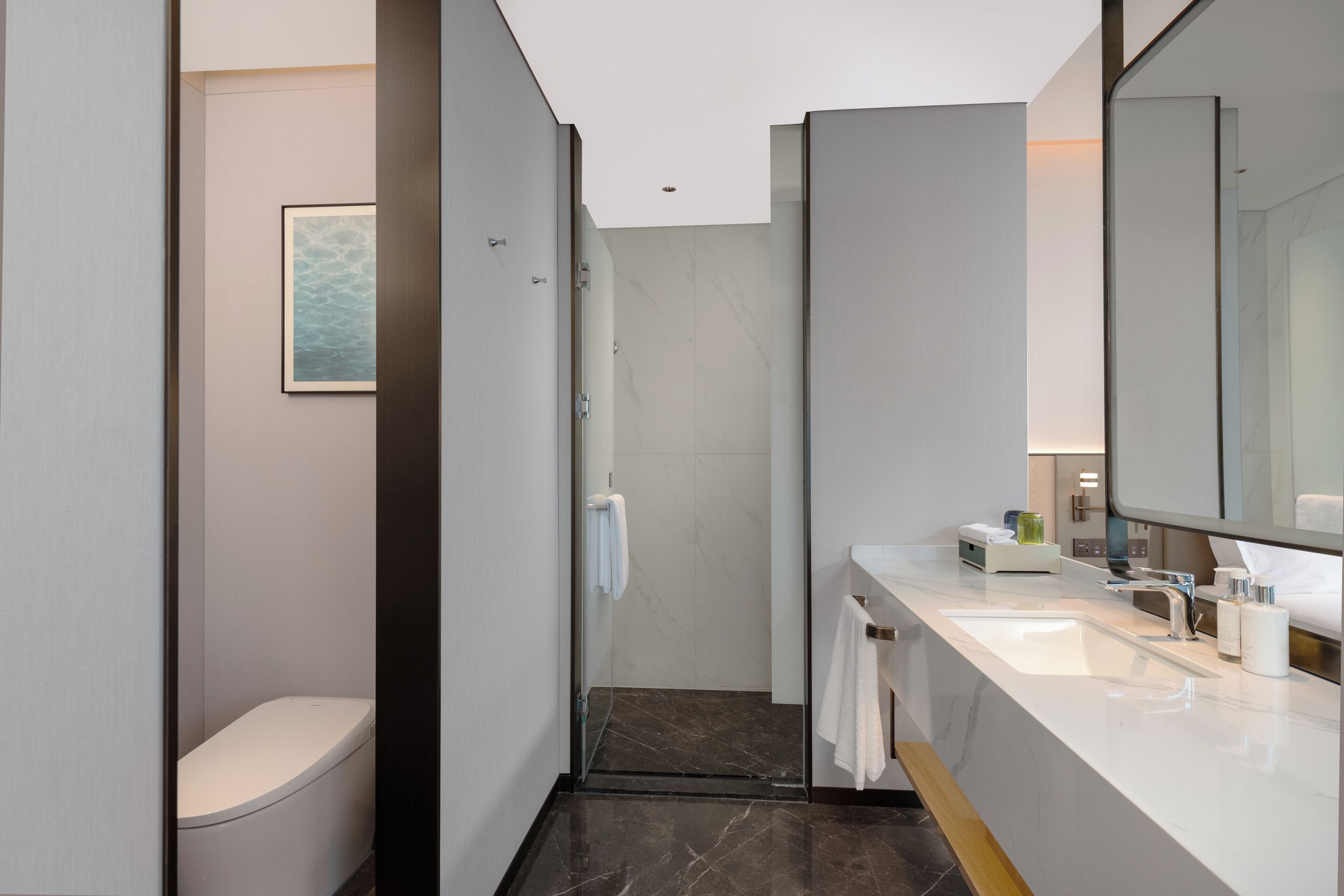 A modern bathroom with a toilet, a shower, and a vanity with a mirror.