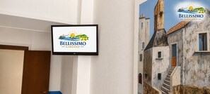Television
