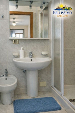 Shower, hair dryer, bidet, towels