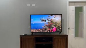 Ein Fernseher auf einer Holzkommode, auf dem eine Küstenlandschaft zu sehen ist.