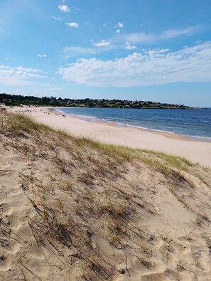 A beach with a clear sky, sandy shore, and a distant shoreline with houses. - Relax by the sea (Piriápolis)