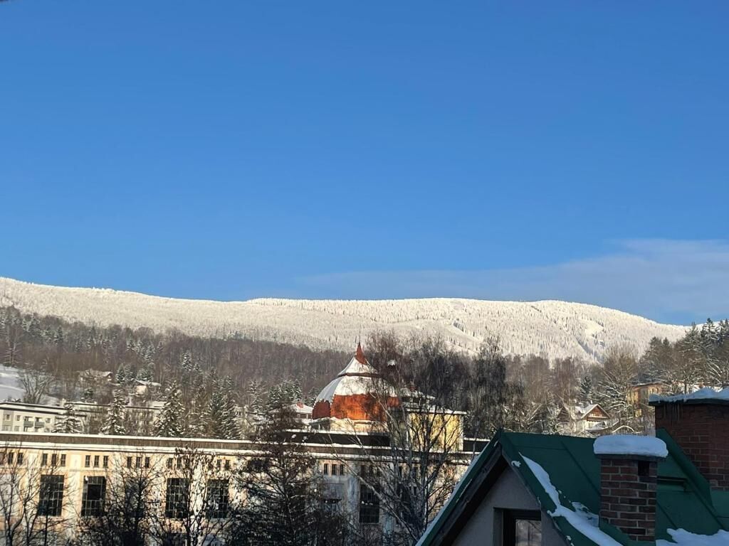 Un edificio con cúpula, rodeado de árboles cubiertos de nieve y una montaña al fondo.