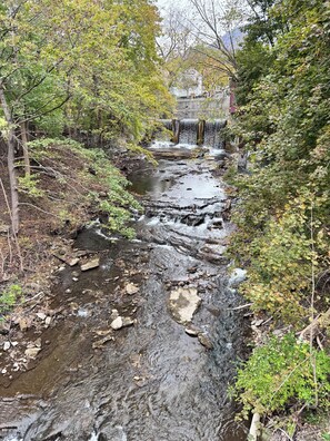 A natural stream with rocks and foliage, surrounded by trees and a distant building. - The Landgrove (Londonderry)